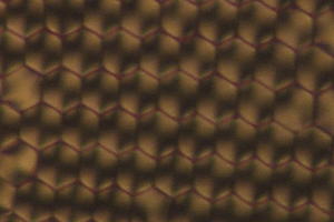 Liquid crystals dried and viewed through polarized light.
