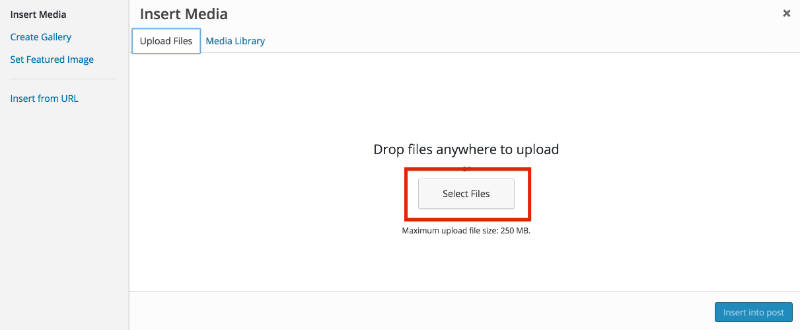 adding-image-how-to-start-a-blog