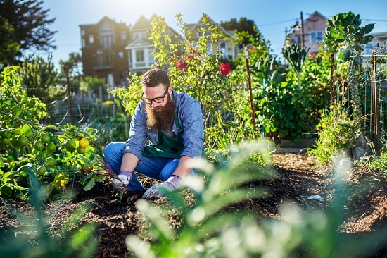 gardening-how-to-stay-active-and-fit-in-summers
